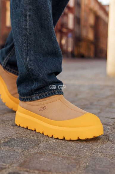 Mens Tasman Weather Hybrid - Mustard Seed / Summer Wheat