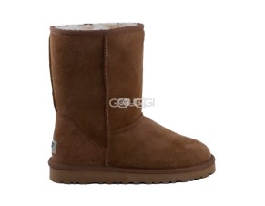 Men Classic Short Chestnut 1