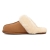 UGG home slippers